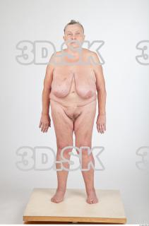 Body texture of Shelia 0023